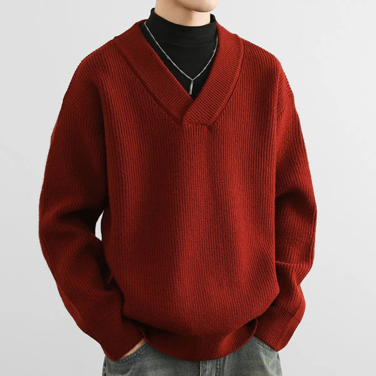Heren Trui Klassiek V-hals Regular Fit