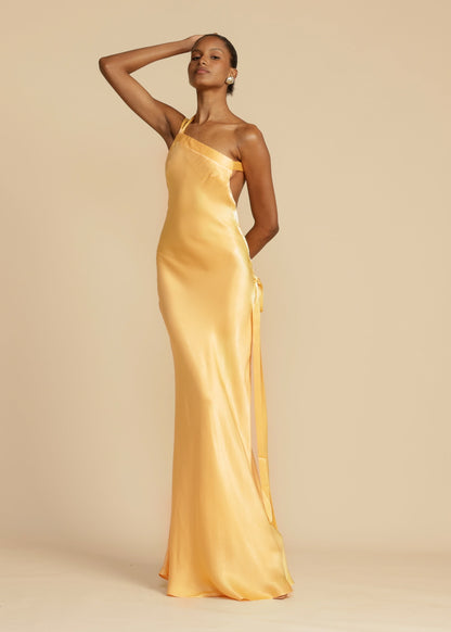 Elegante Avondjurk Lang