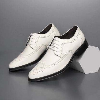 Elegante Herenschoenen voor Alle Gelegenheden