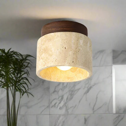 Stijlvolle Plafondlamp Ovidus Moderne Design